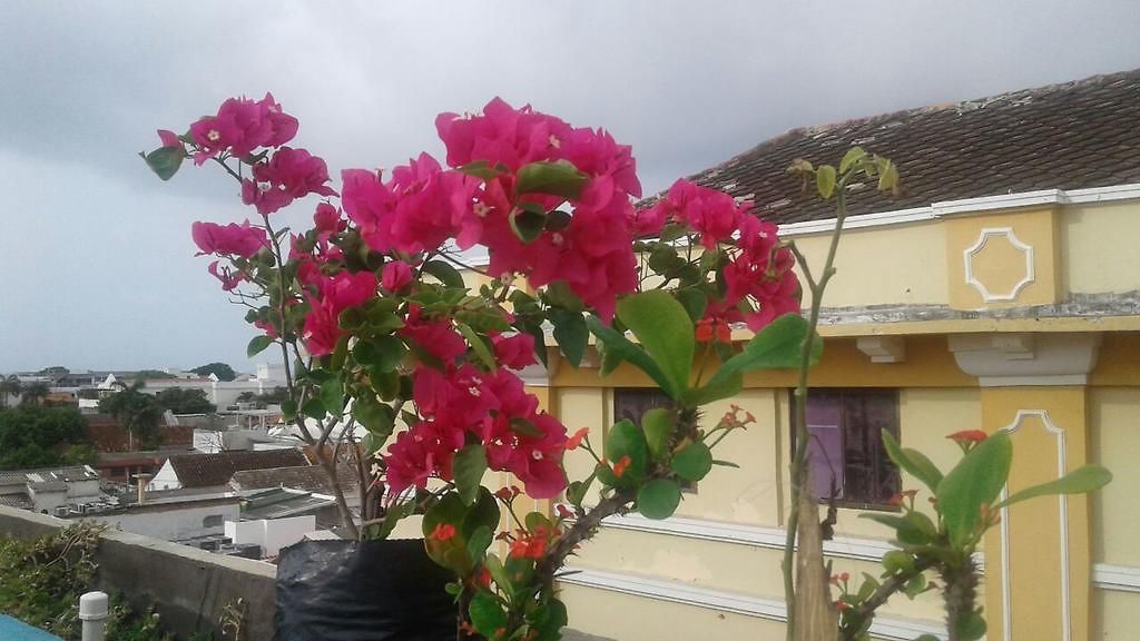 Ol Cartagena