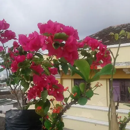 Ol Cartagena